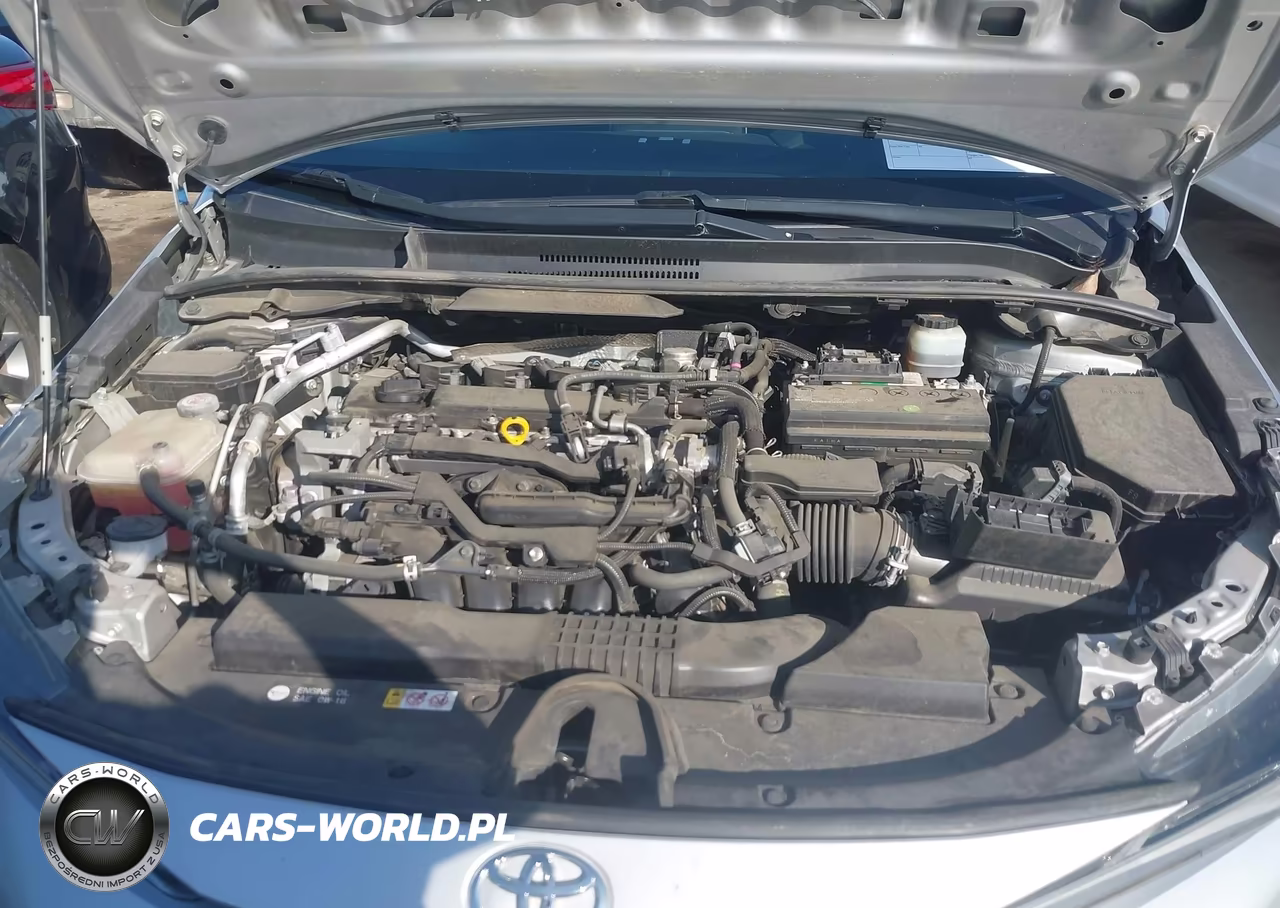 2020 Toyota Corolla Se VIN:JTDS4RCE9LJ008962 - 10