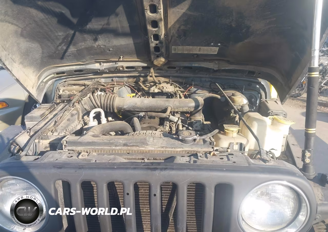 1999 Jeep Wrangler Sport VIN:1J4FY19S5XP460862 - 10
