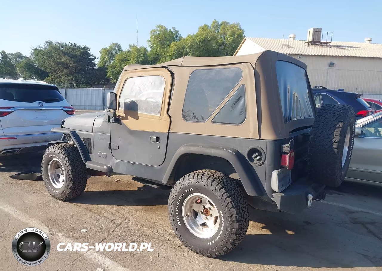 1999 Jeep Wrangler Sport VIN:1J4FY19S5XP460862 - 3