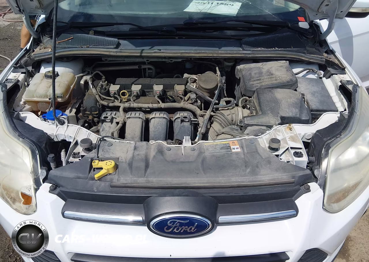 2014 Ford Focus Se VIN:1FADP3F20EL130895 - 10