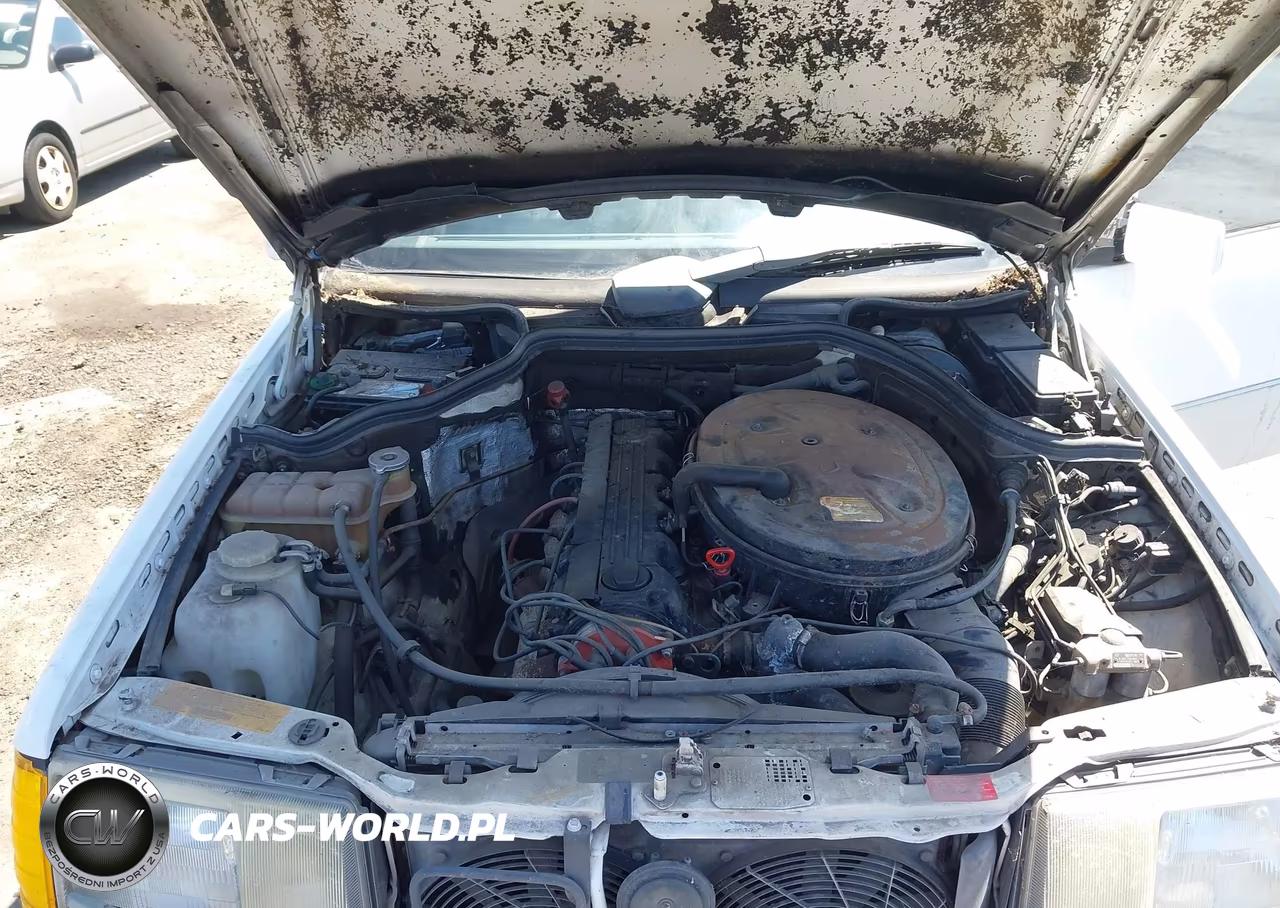 1991 Mercedes-Benz 300 E VIN:WDBEA30D7MB359359 - 10