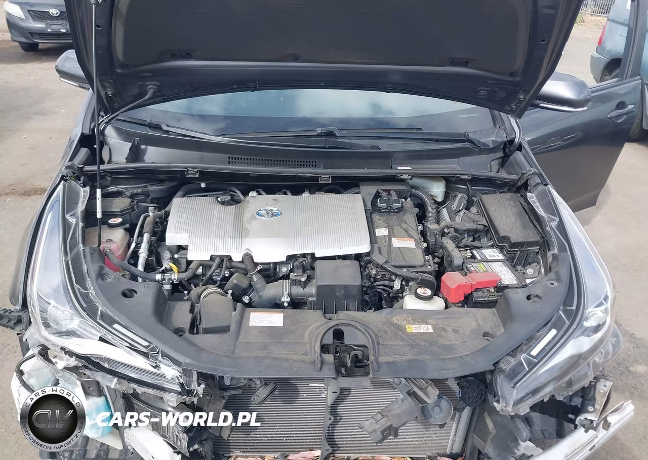 2019 Toyota Prius Xle VIN:JTDKARFU7K3089202 - 10