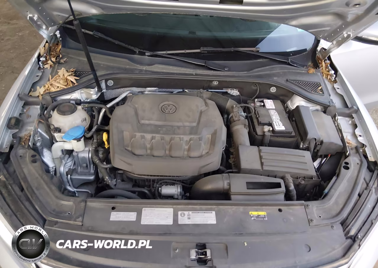 2018 Volkswagen Passat 2.0T Se VIN:1VWBA7A32JC030976 - 10