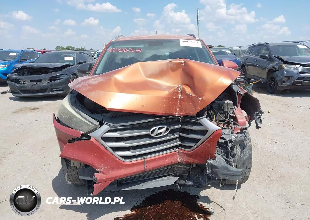 2017 Hyundai Tucson Se VIN:KM8J33A45HU436972 - 12
