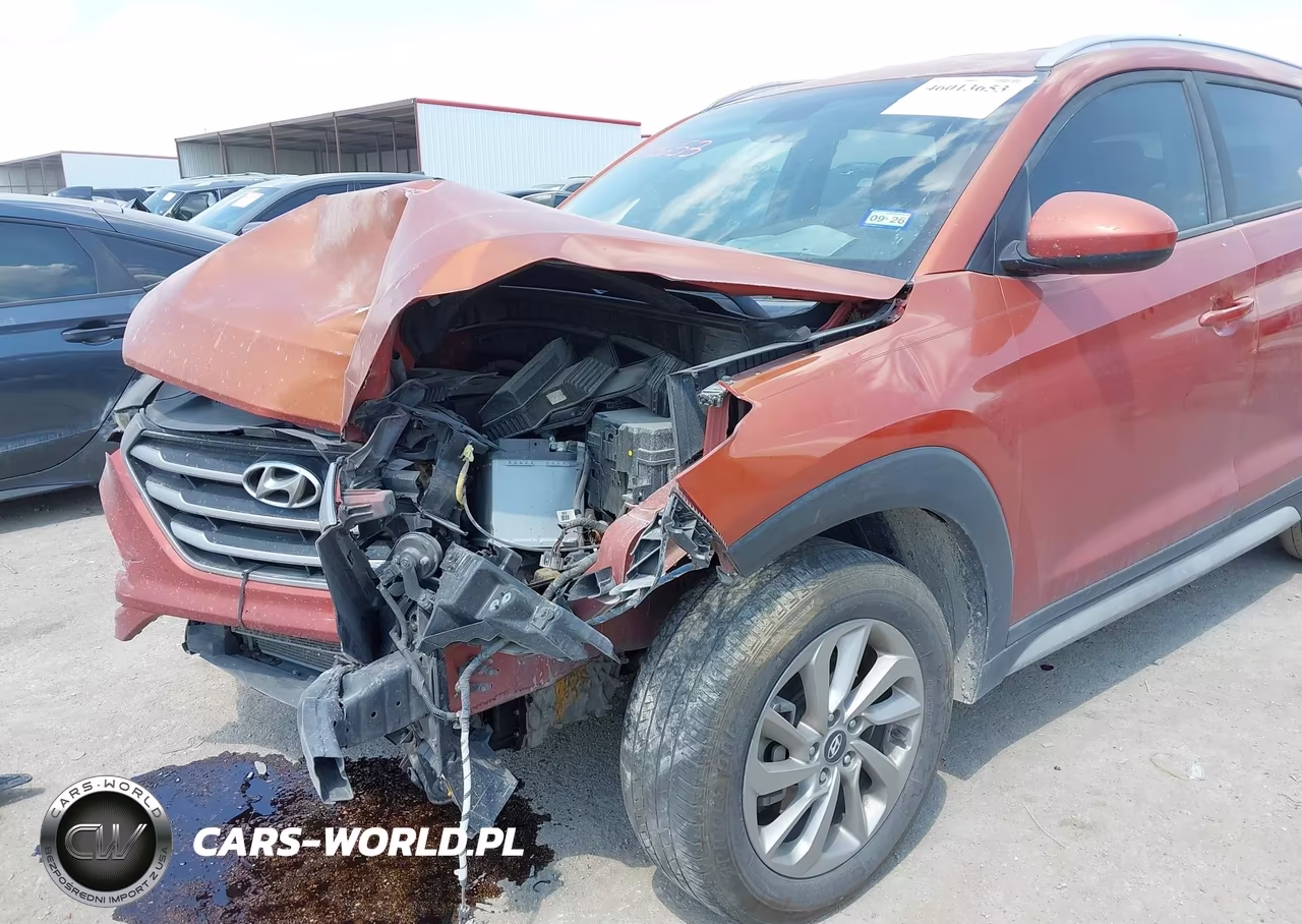 2017 Hyundai Tucson Se VIN:KM8J33A45HU436972 - 6