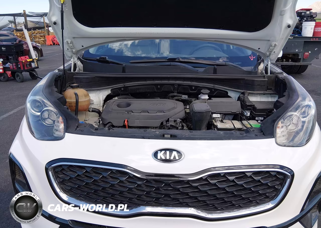 2020 Kia Sportage Lx VIN:KNDPM3AC6L7759924 - 10