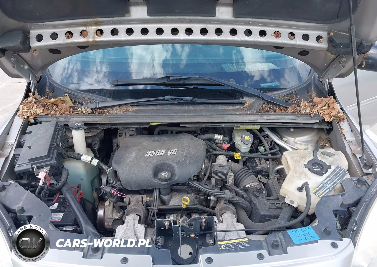2005 Buick Terraza Cx VIN:5GADV23L95D172646 - 10