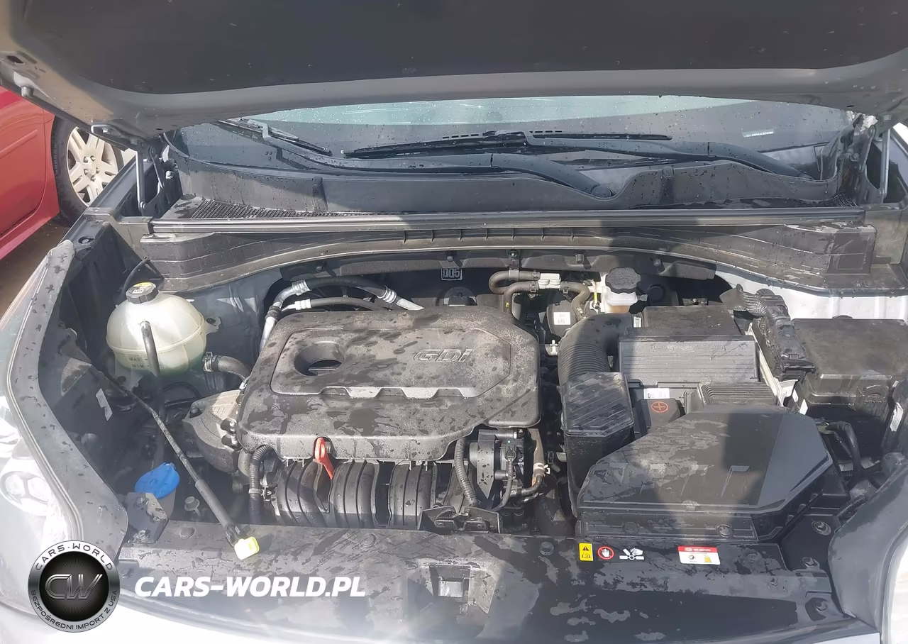 2019 Kia Sportage Lx VIN:KNDPMCAC4K7547800 - 10