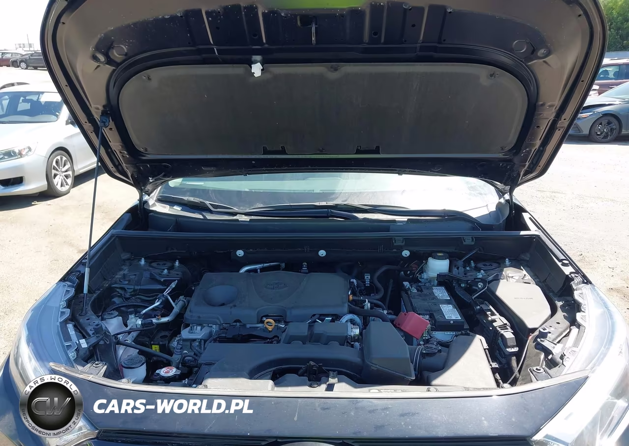 2025 Toyota Rav4 Xle VIN:2T3P1RFV6SC494187 - 10