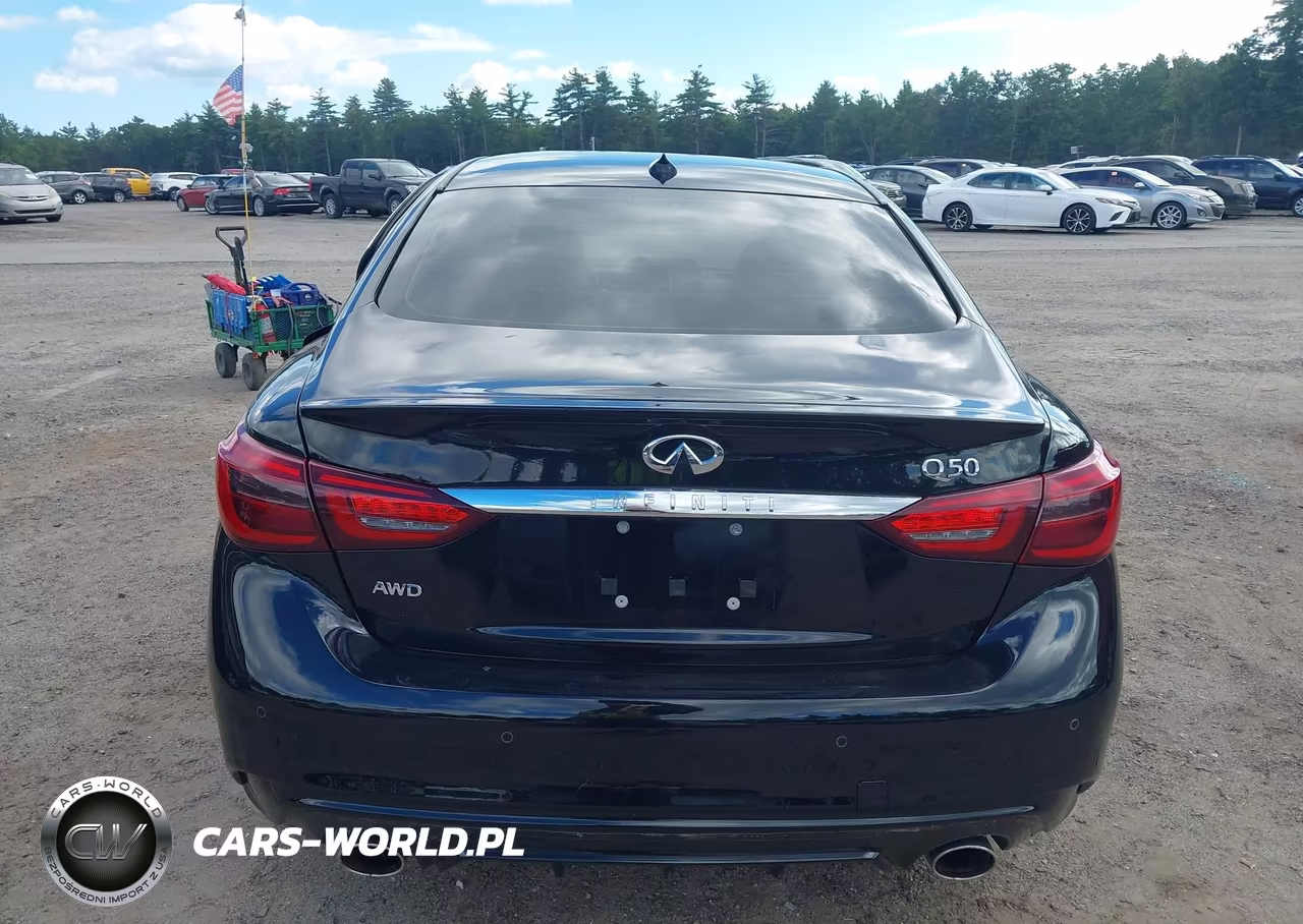 2019 Infiniti Q50 3.0T Luxe VIN:JN1EV7AR2KM554913 - 16