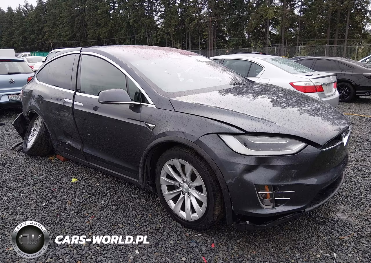 2019 Tesla Model X 100D-75D-Long Range