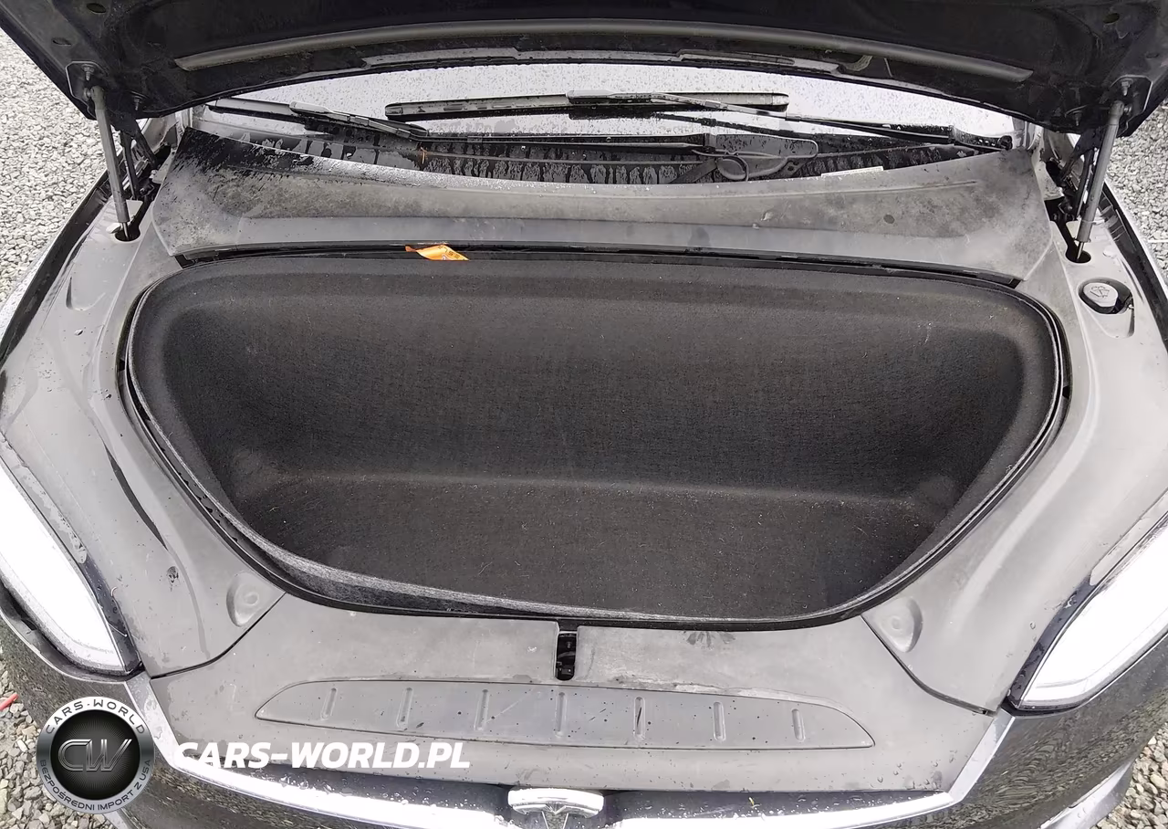 2019 Tesla Model X 100D-75D-Long Range VIN:5YJXCBE25KF161346 - 10