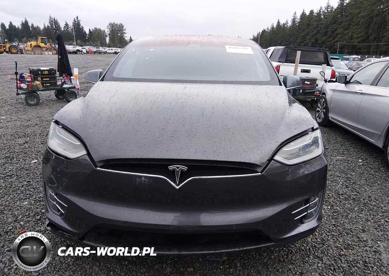 2019 Tesla Model X 100D-75D-Long Range VIN:5YJXCBE25KF161346 - 13