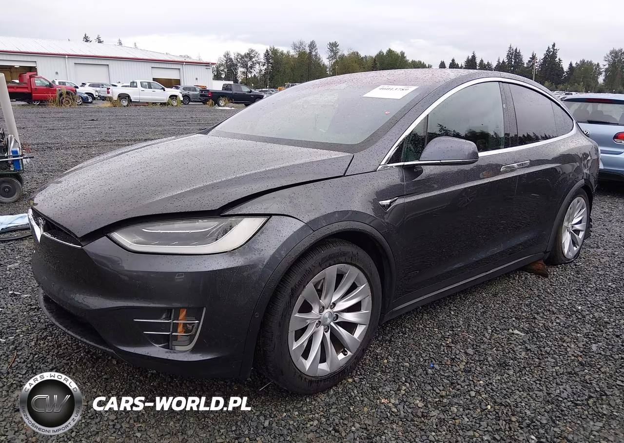 2019 Tesla Model X 100D-75D-Long Range VIN:5YJXCBE25KF161346 - 2