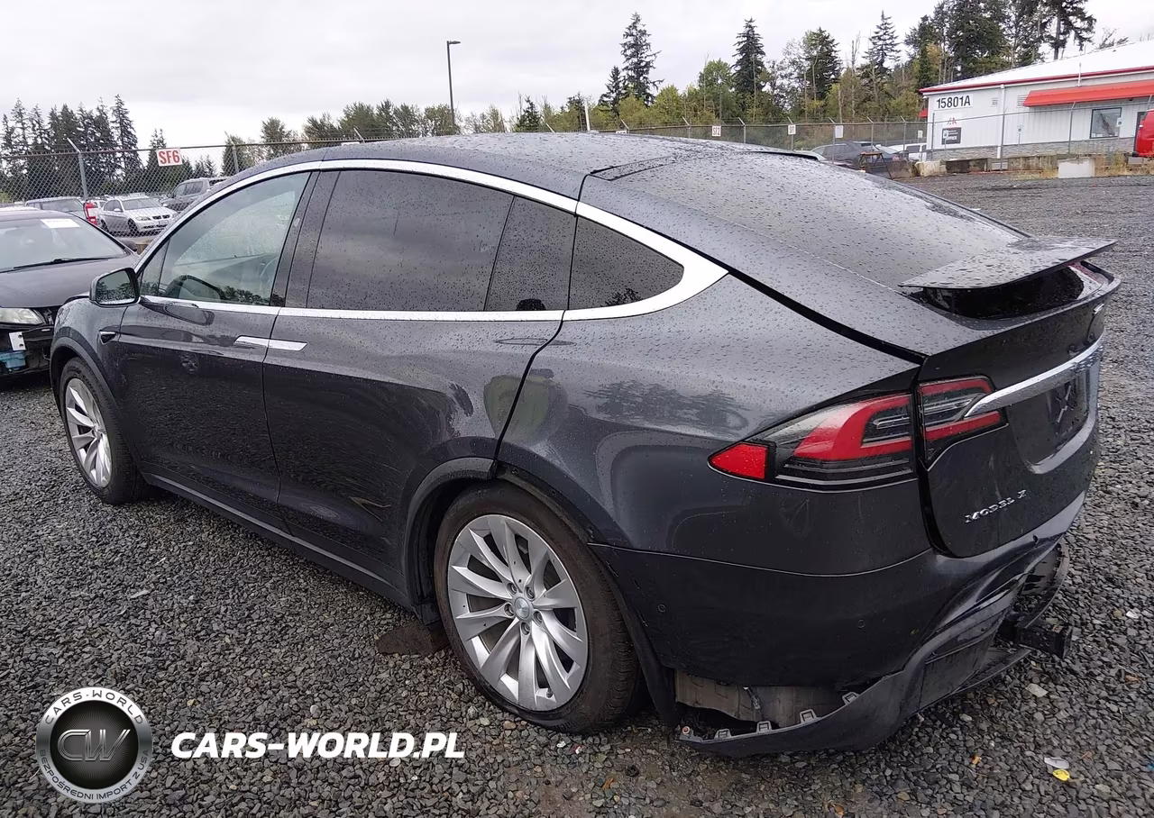 2019 Tesla Model X 100D-75D-Long Range VIN:5YJXCBE25KF161346 - 3