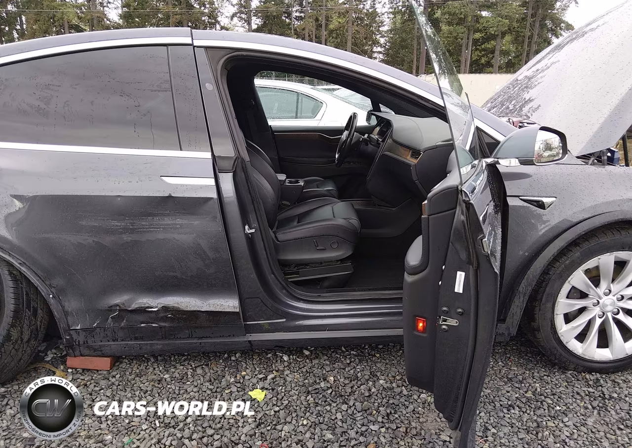 2019 Tesla Model X 100D-75D-Long Range VIN:5YJXCBE25KF161346 - 5