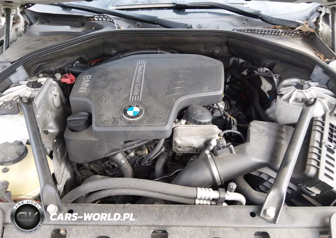 2013 BMW 528I VIN:WBAXG5C50DD229451 - 10