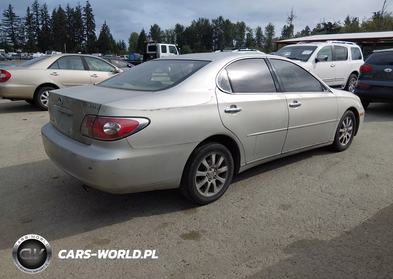 2002 Lexus Es 300 VIN:JTHBF30G920013157 - 4