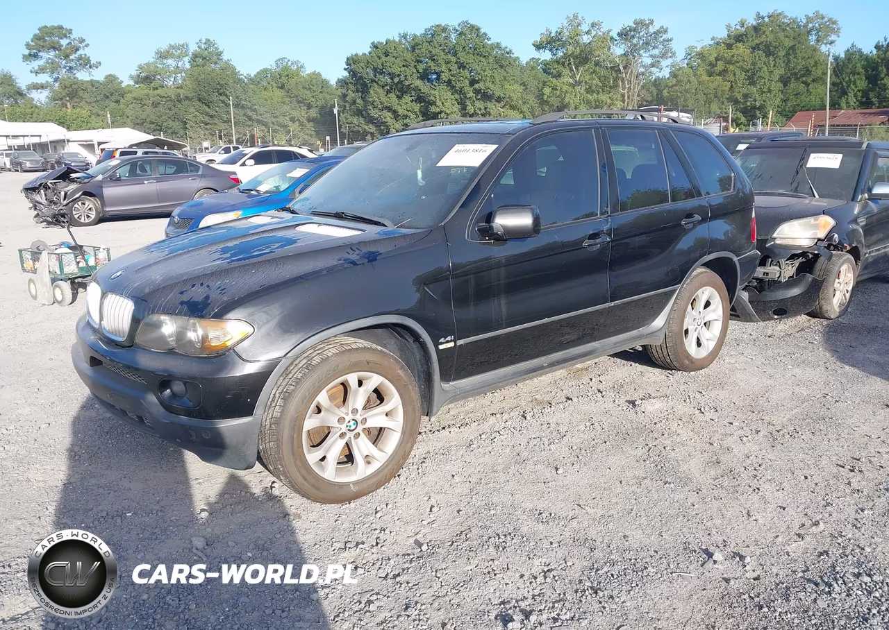 2006 BMW X5 4.4I VIN:5UXFB53596LV25234 - 2