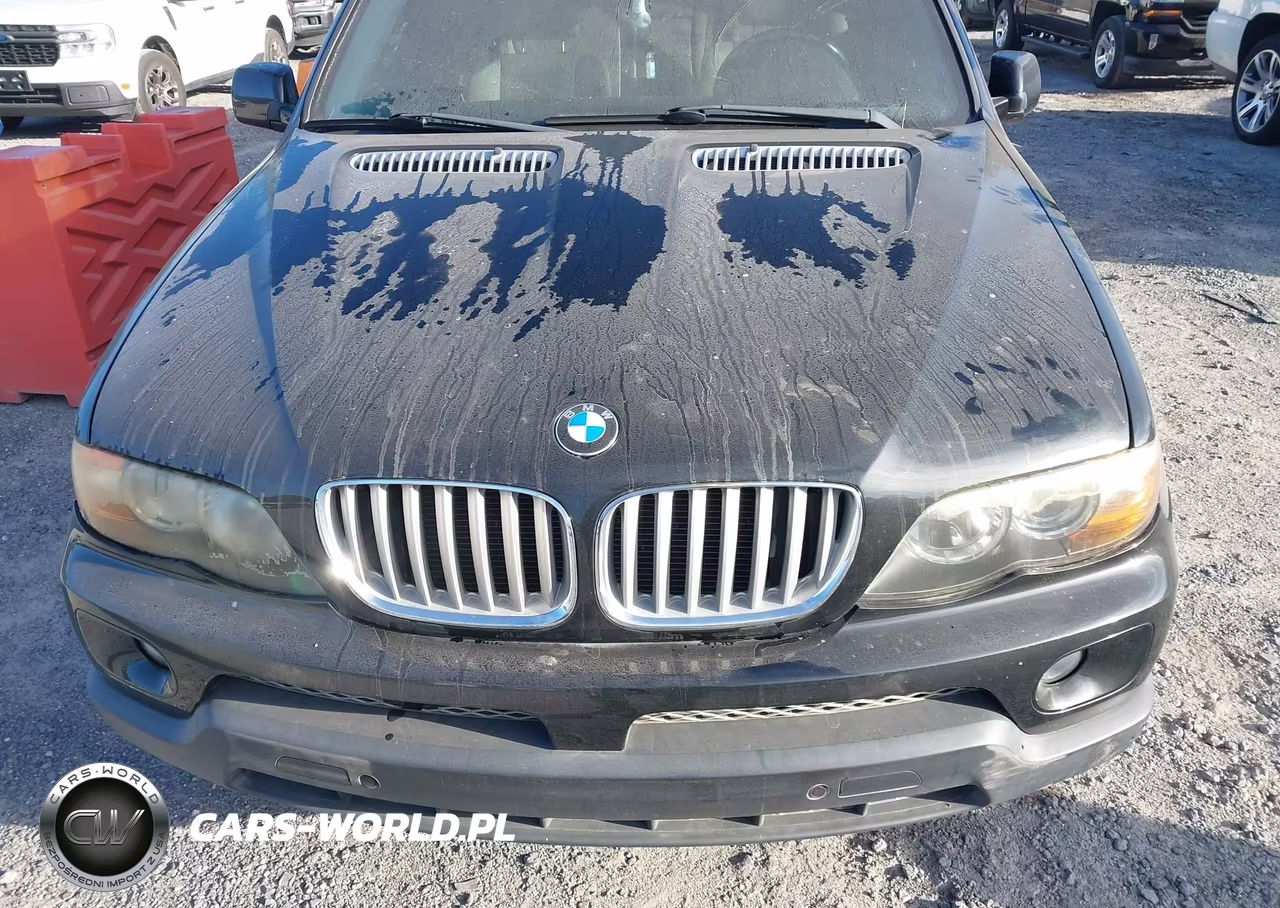 2006 BMW X5 4.4I VIN:5UXFB53596LV25234 - 6
