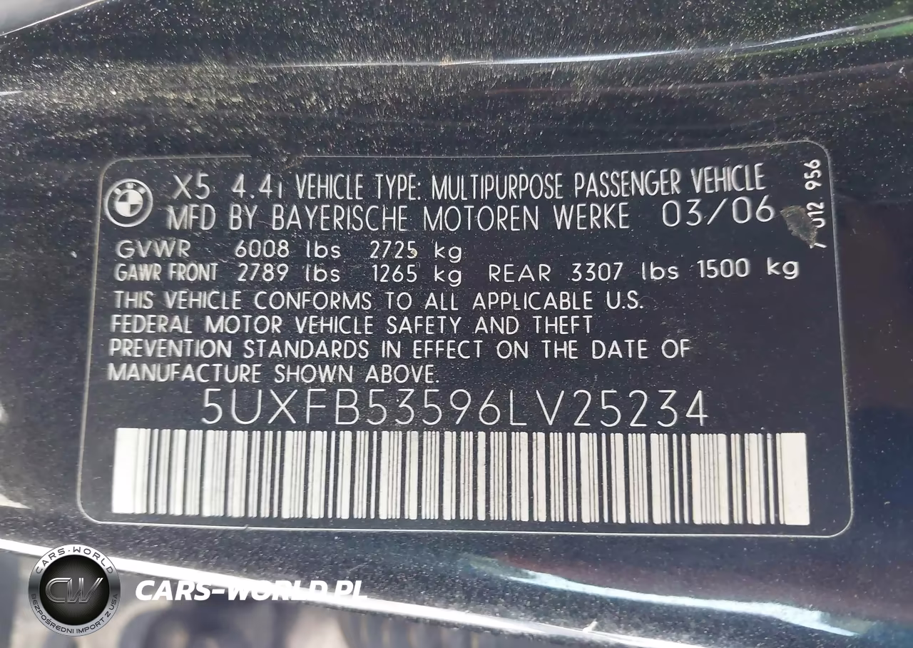 2006 BMW X5 4.4I VIN:5UXFB53596LV25234 - 9