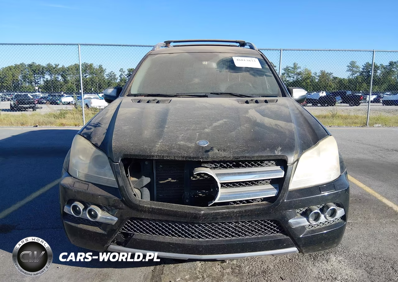 2010 Mercedes-Benz Gl Class VIN:4JGBF7BE6AA588082 - 12
