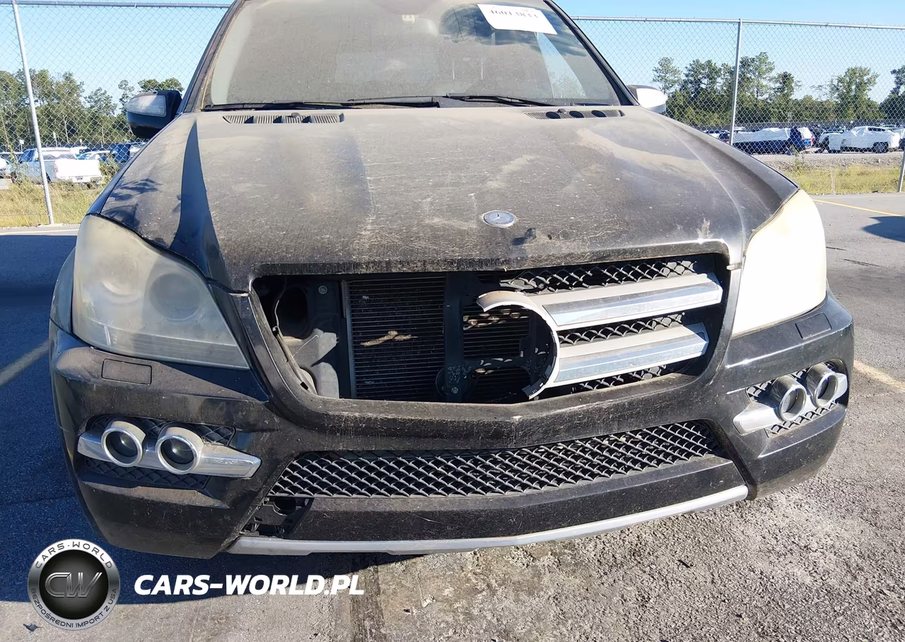 2010 Mercedes-Benz Gl Class VIN:4JGBF7BE6AA588082 - 6