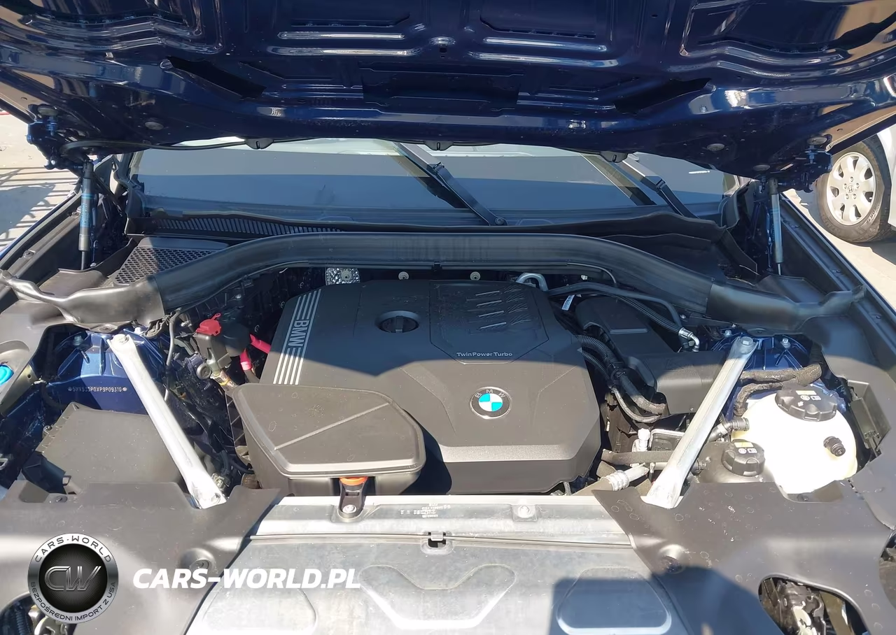2023 BMW X3 xDrive30I VIN:5UX53DP0XP9P09310 - 10