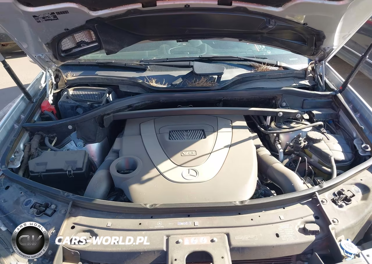 2011 Mercedes-Benz Gl 450 4Matic VIN:4JGBF7BE3BA748713 - 10
