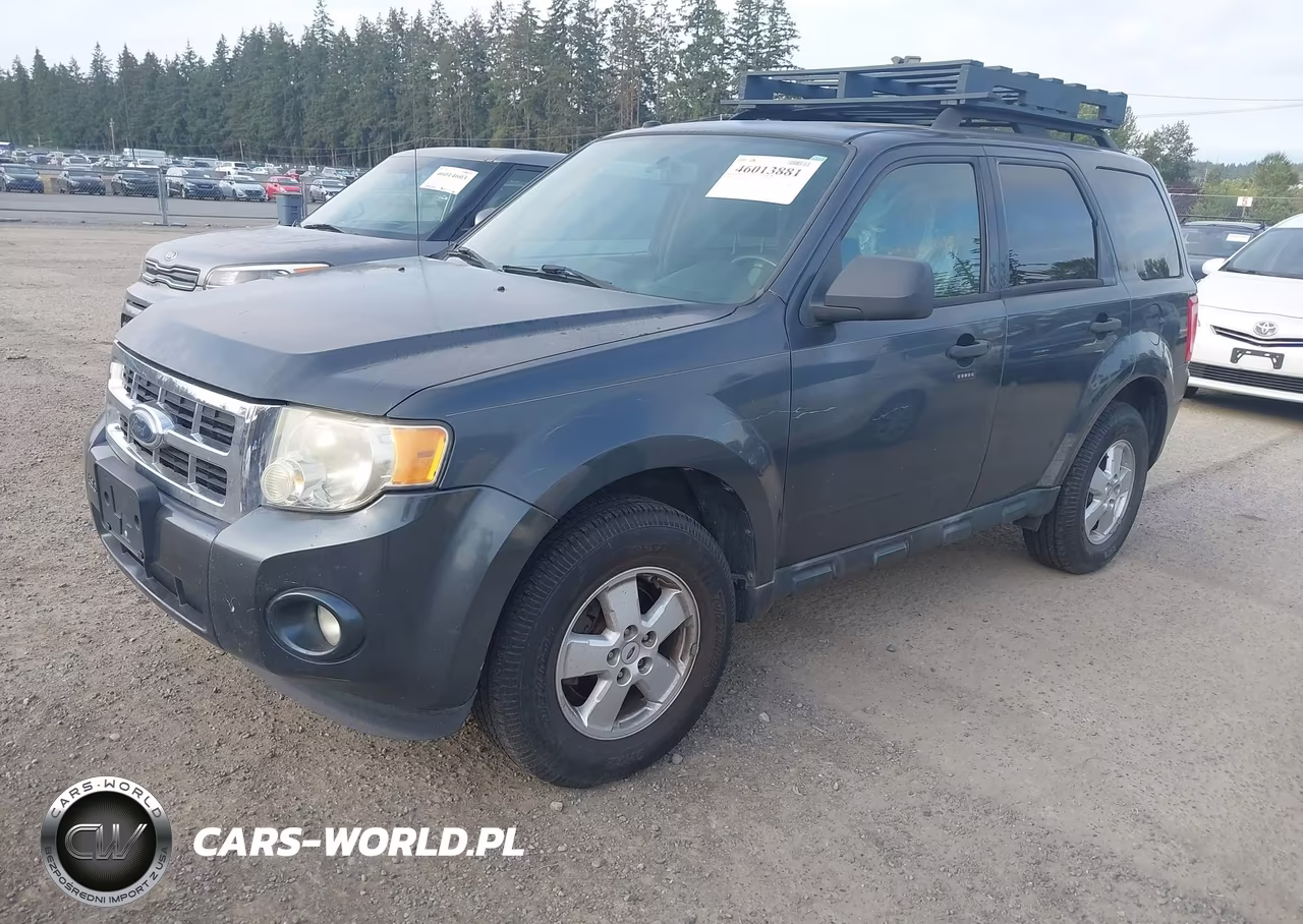 2009 Ford Escape Xlt VIN:1FMCU03769KD07681 - 2