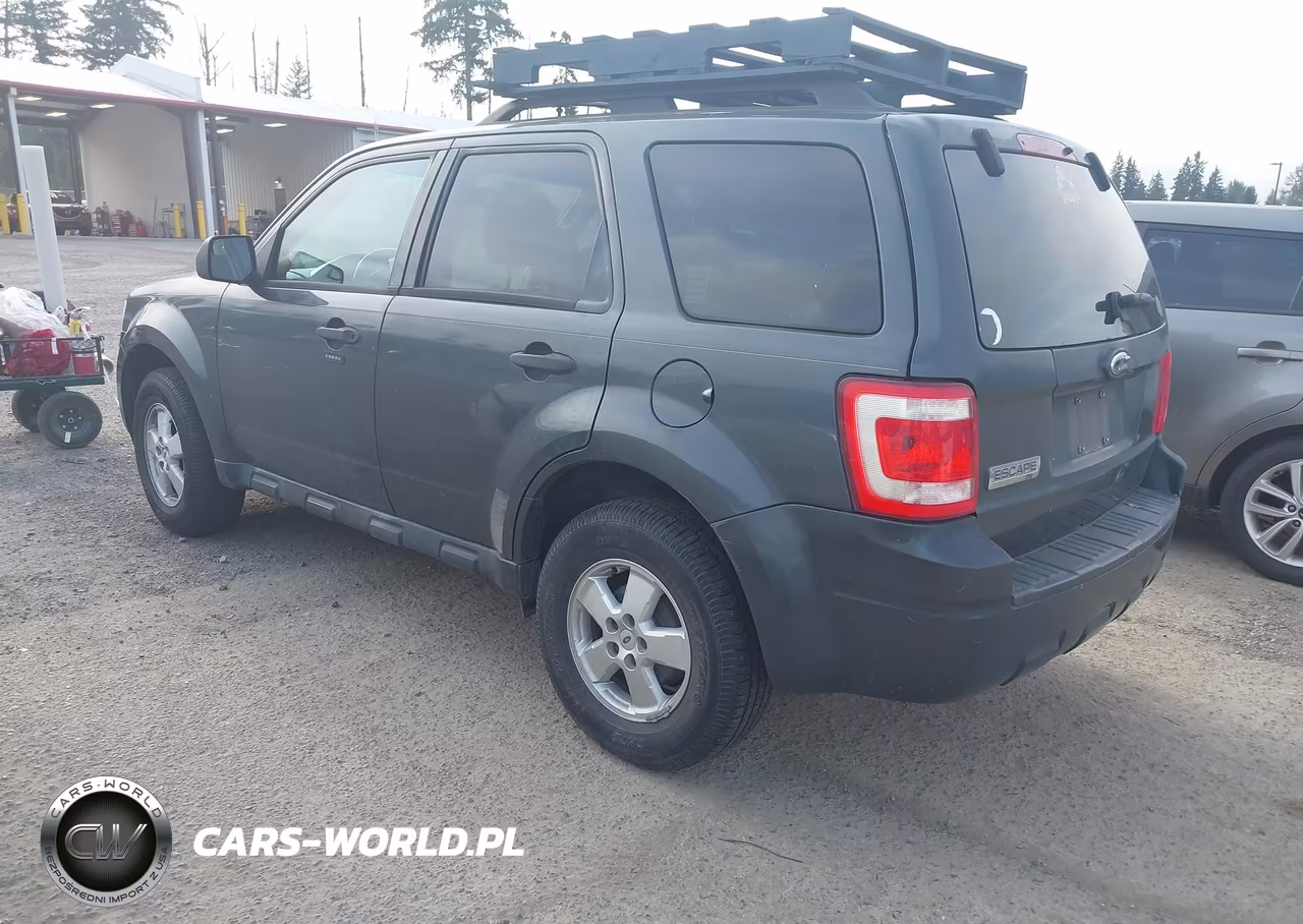 2009 Ford Escape Xlt VIN:1FMCU03769KD07681 - 3