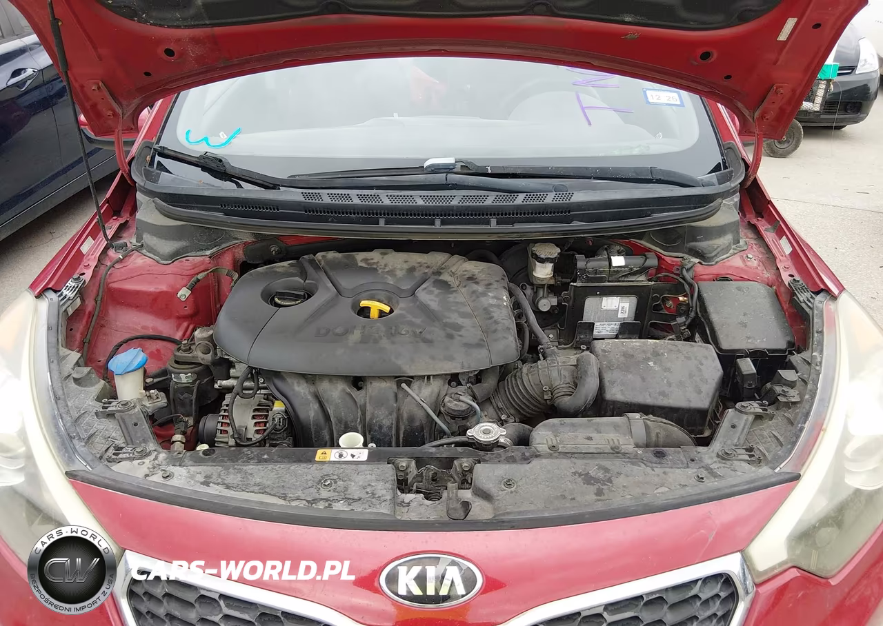 2016 Kia Forte Lx VIN:KNAFK4A62G5620051 - 10