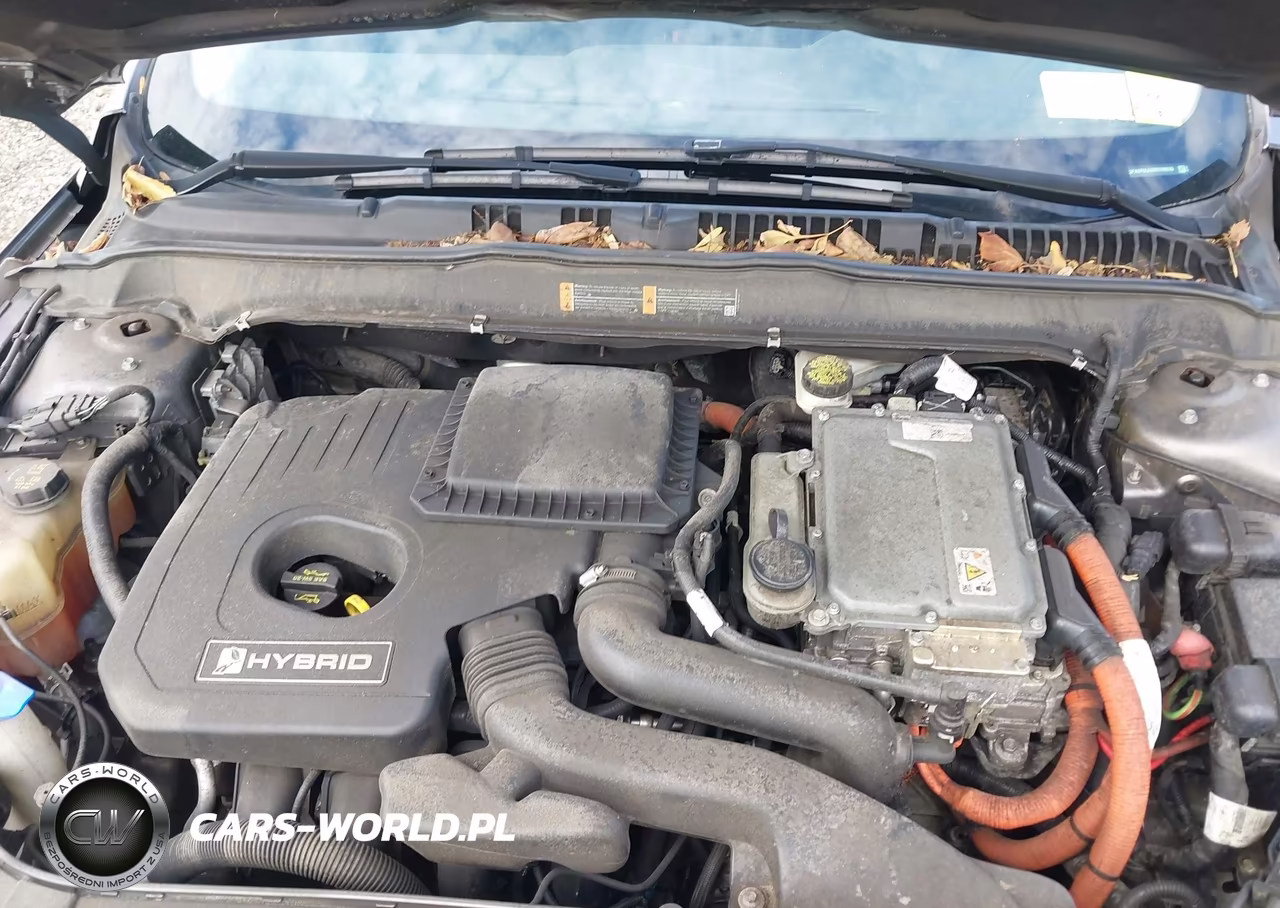 2014 Ford Fusion Hybrid Se VIN:3FA6P0LU6ER189836 - 10