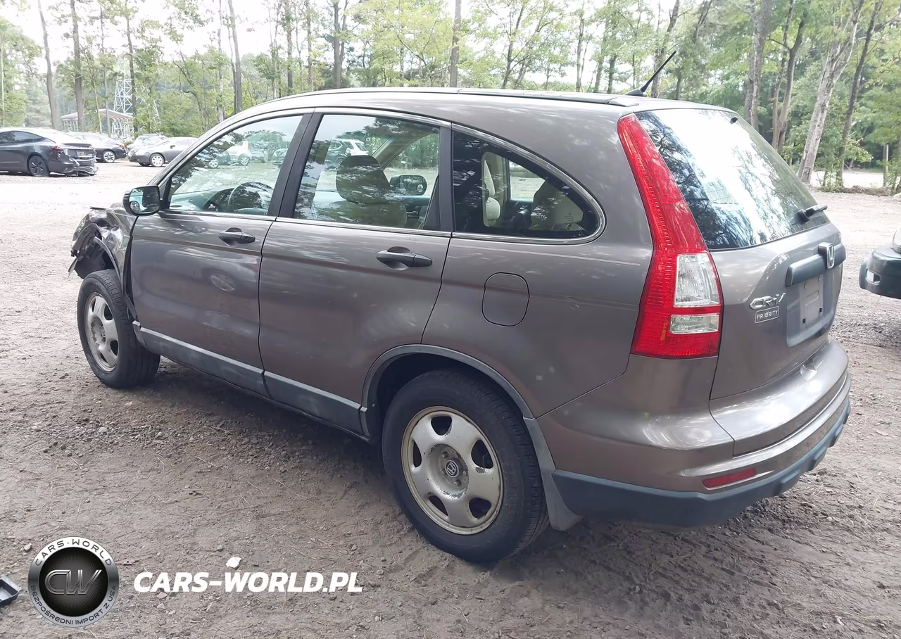 2010 Honda Cr-V Lx VIN:5J6RE3H38AL038630 - 3
