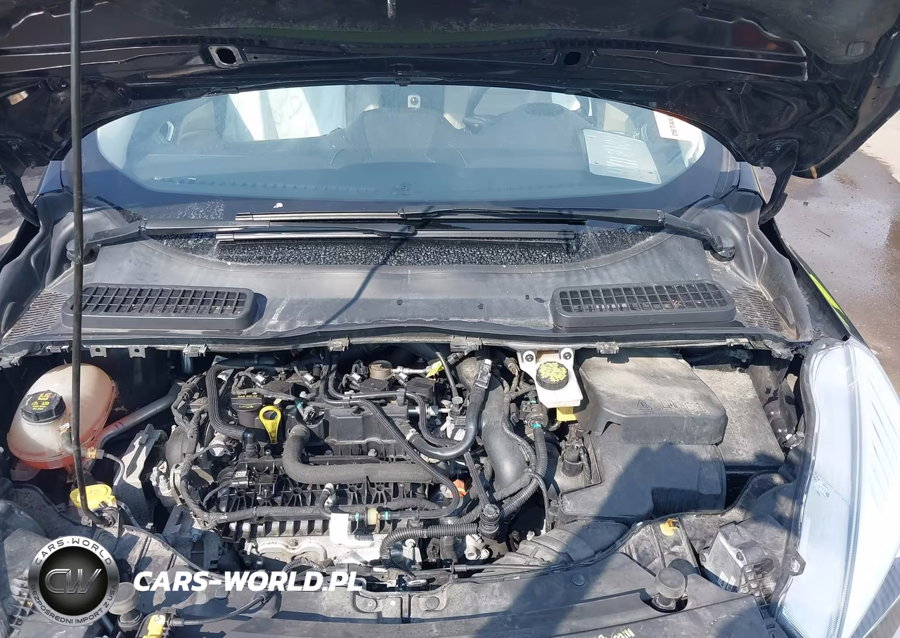 2019 Ford Escape Sel VIN:1FMCU9HD1KUC49010 - 10