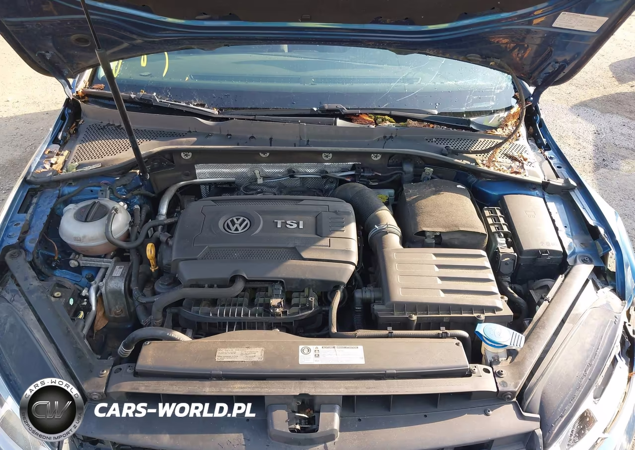 2016 Volkswagen Golf Tsi S 4-Door VIN:3VW217AU0GM043225 - 10