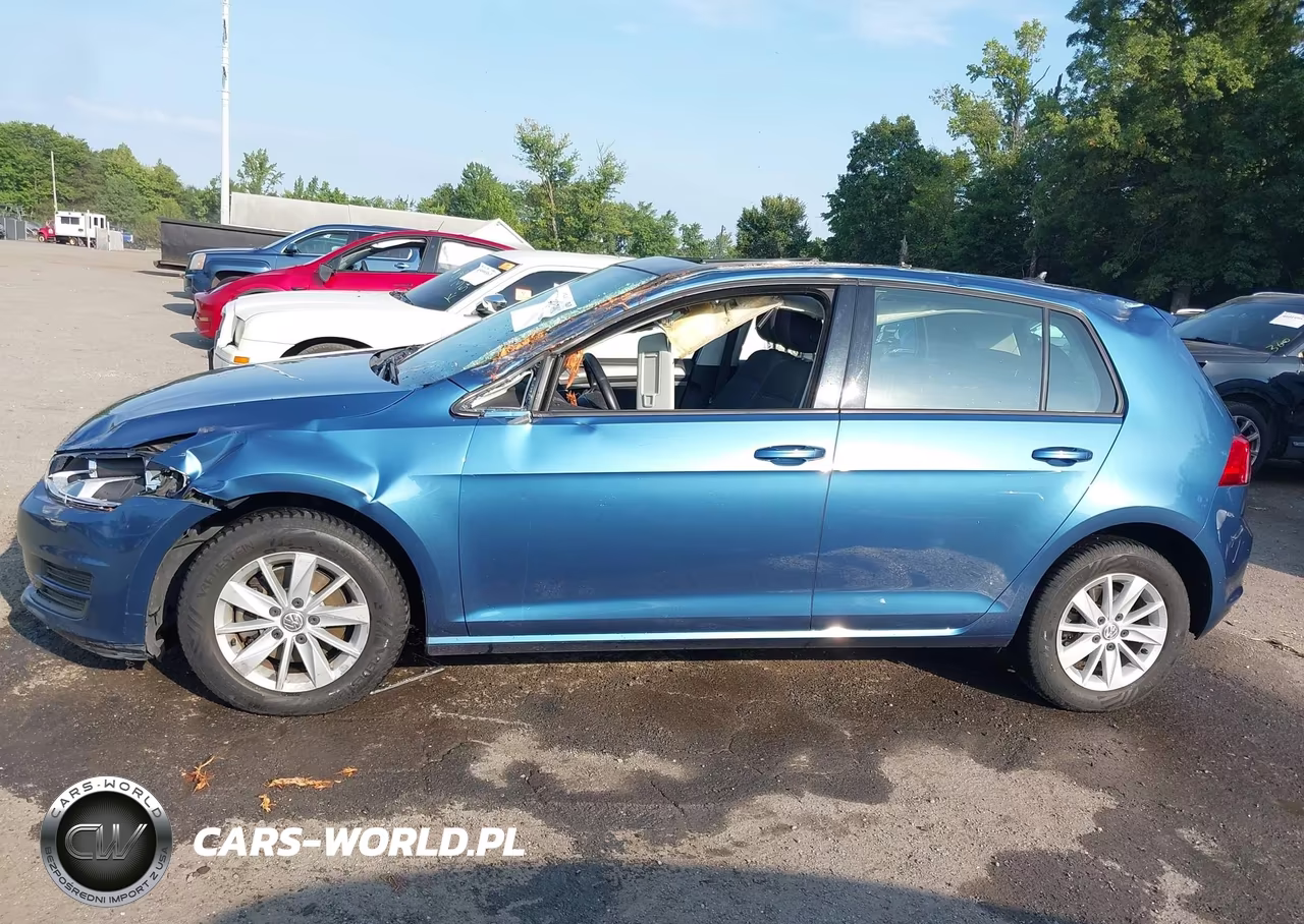 2016 Volkswagen Golf Tsi S 4-Door VIN:3VW217AU0GM043225 - 13