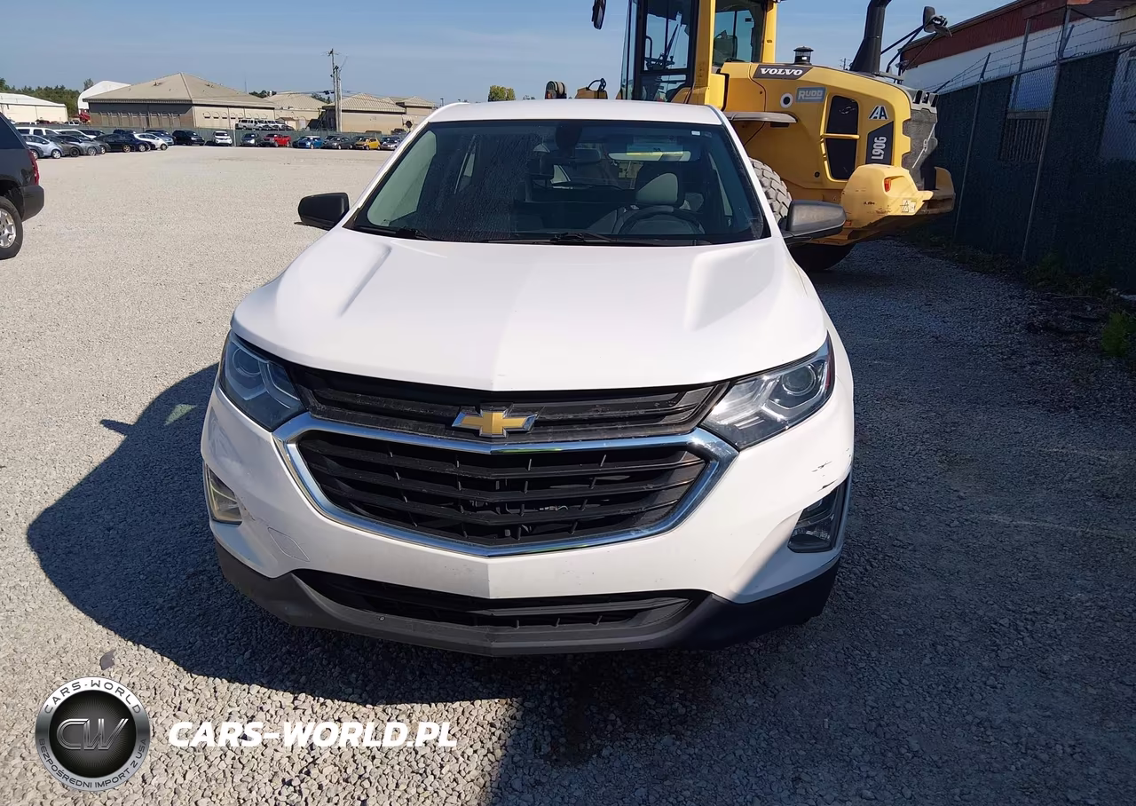 2019 Chevrolet Equinox Ls VIN:3GNAXHEV1KL199186 - 12