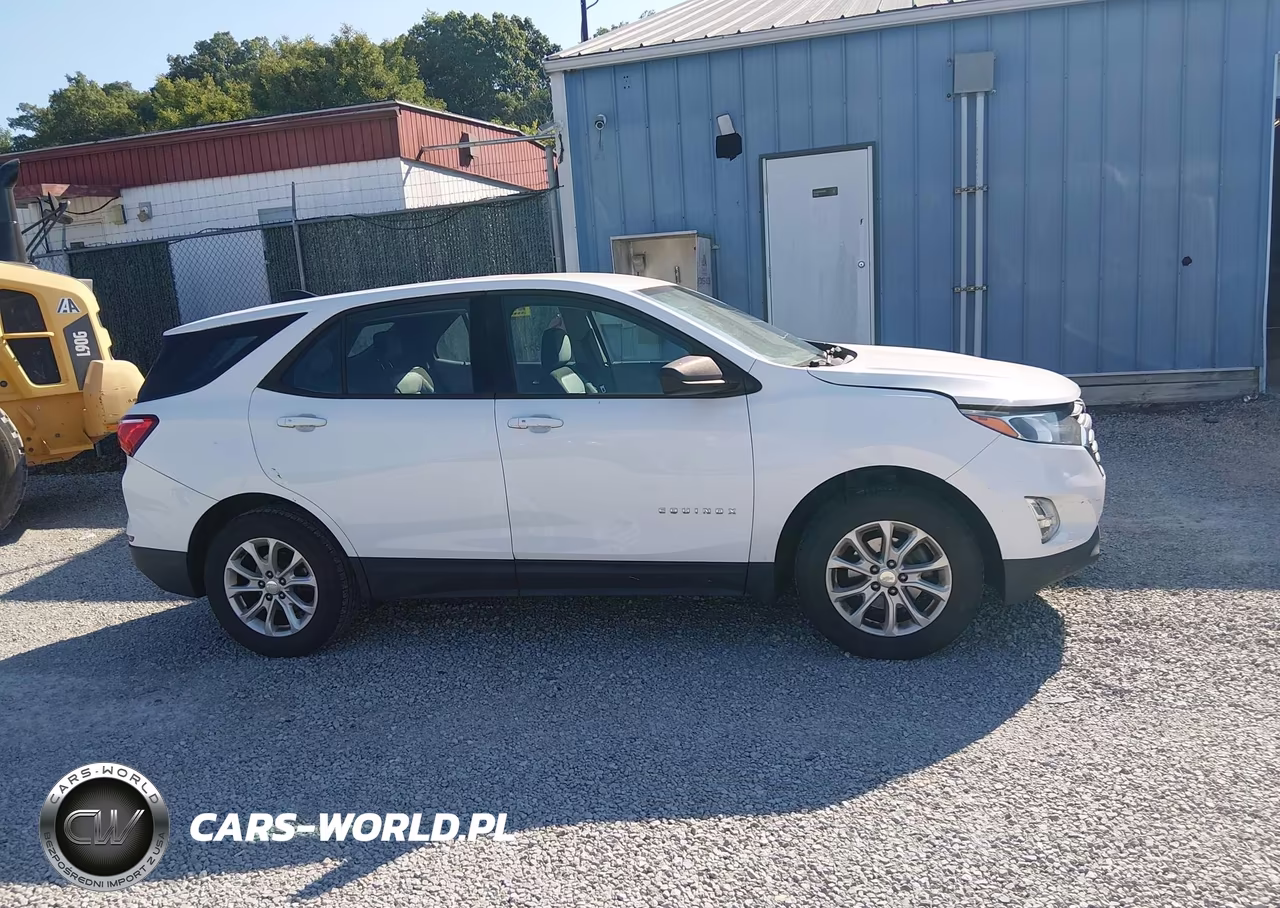 2019 Chevrolet Equinox Ls VIN:3GNAXHEV1KL199186 - 13