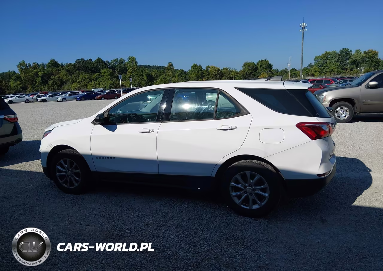 2019 Chevrolet Equinox Ls VIN:3GNAXHEV1KL199186 - 14