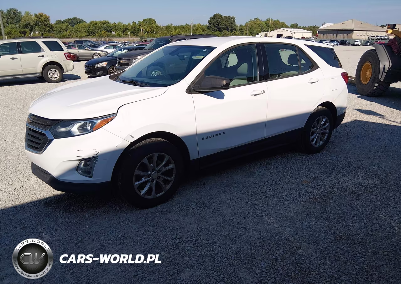 2019 Chevrolet Equinox Ls VIN:3GNAXHEV1KL199186 - 2