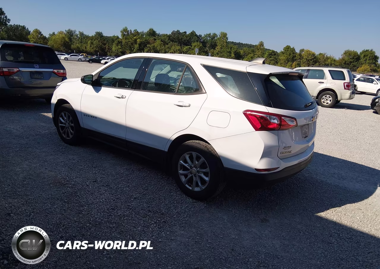 2019 Chevrolet Equinox Ls VIN:3GNAXHEV1KL199186 - 3