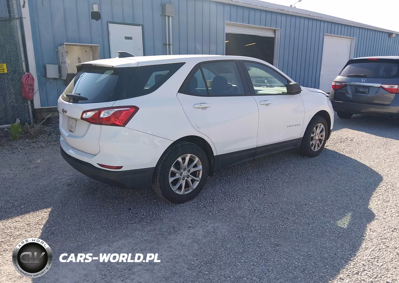 2019 Chevrolet Equinox Ls VIN:3GNAXHEV1KL199186 - 4