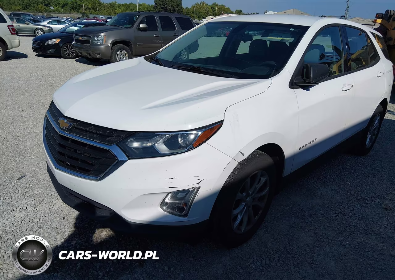 2019 Chevrolet Equinox Ls VIN:3GNAXHEV1KL199186 - 6