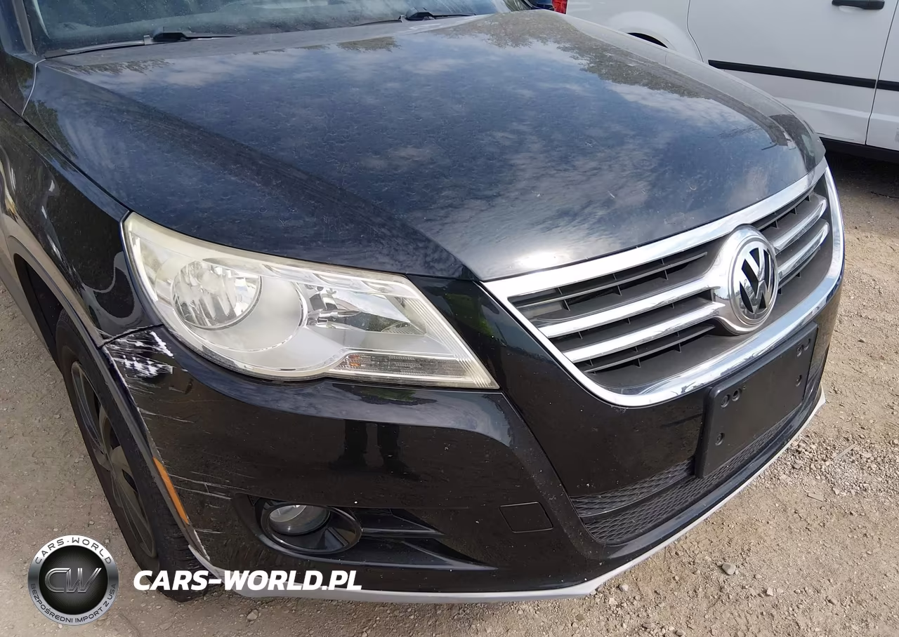 2010 Volkswagen Tiguan Wolfsburg Edition VIN:WVGBV7AX9AW534560 - 6
