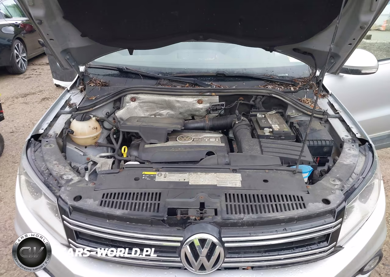 2014 Volkswagen Tiguan Sel VIN:WVGBV3AX9EW591632 - 10