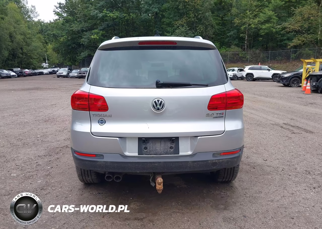 2014 Volkswagen Tiguan Sel VIN:WVGBV3AX9EW591632 - 16