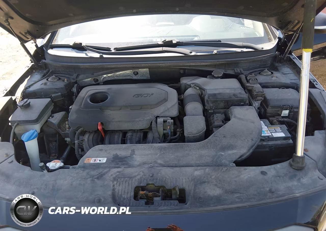 2016 Hyundai Sonata Sport VIN:5NPE34AF8GH415958 - 10