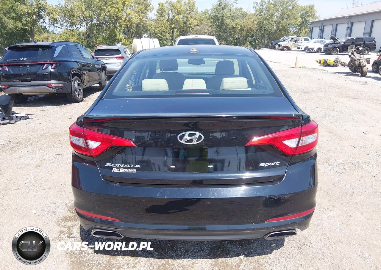 2016 Hyundai Sonata Sport VIN:5NPE34AF8GH415958 - 16