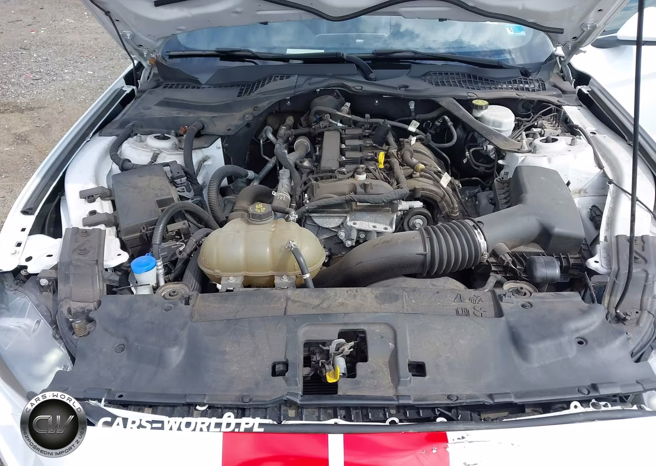 2021 Ford Mustang Ecoboost Premium VIN:1FATP8UHXM5108440 - 10